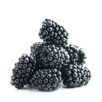 Blackberries 125g pack